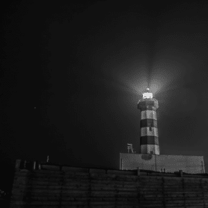 Untitled design 1 1 e1675047067665