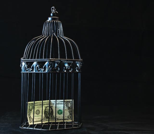 pexels reynaldo brigworkz brigantty 747113