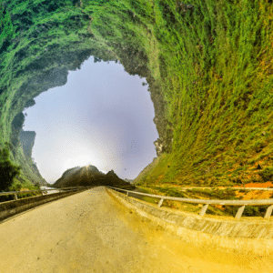 Untitled design 1024x1024 1