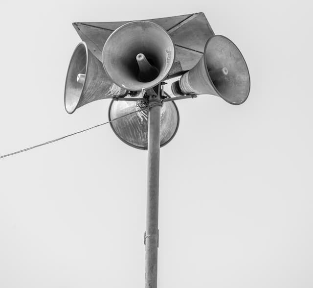 pexels aboodi vesakaran 12404226