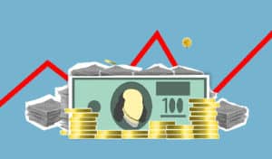 pexels monstera 5849556