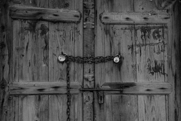 pexels shantanu kumar 16224251