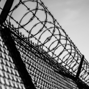 Untitled 500 × 500 px 5