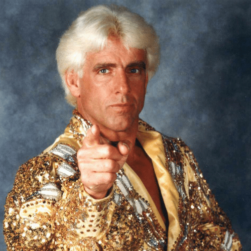 Untitled 500 × 500 px 2 1