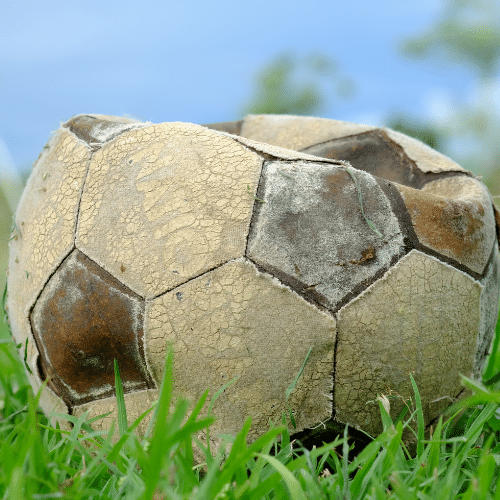 Untitled 500 × 500 px 1 2