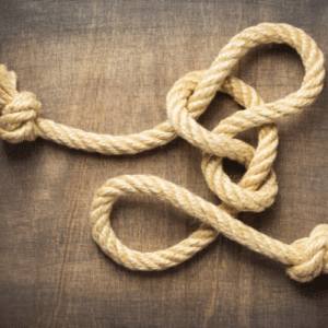 Untitled 500 × 500 px