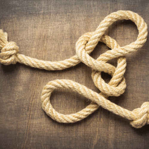 Untitled 500 × 500 px