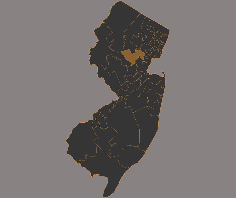 Map of NJ21st District